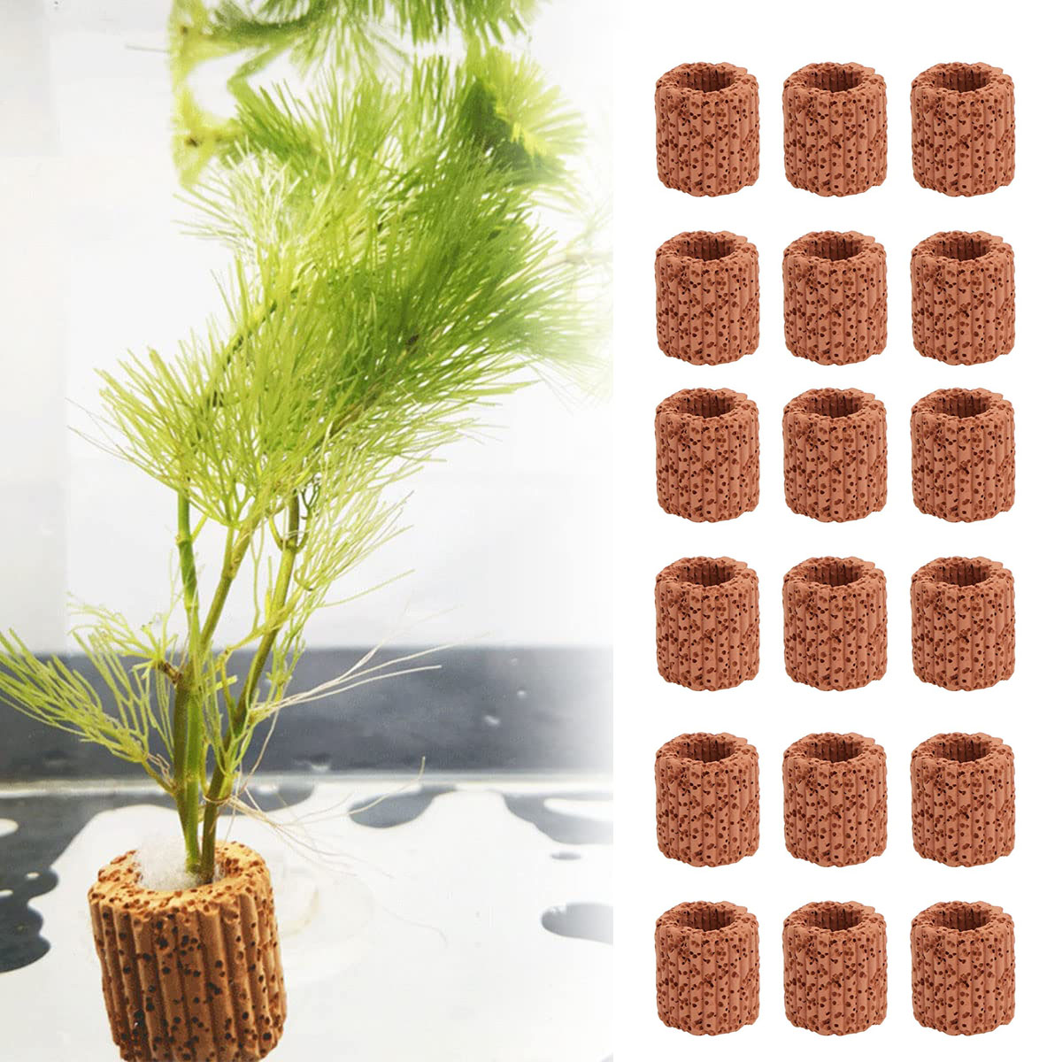 Aquarium Plant Rings - 20 Cái/lốc Thủy Sinh Nước Nhẫn