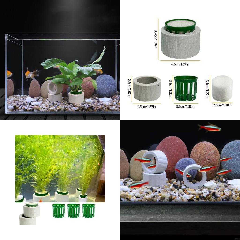 Aquarium Plant Rings - 37ME 10 Chiếc Bể Cá Vật