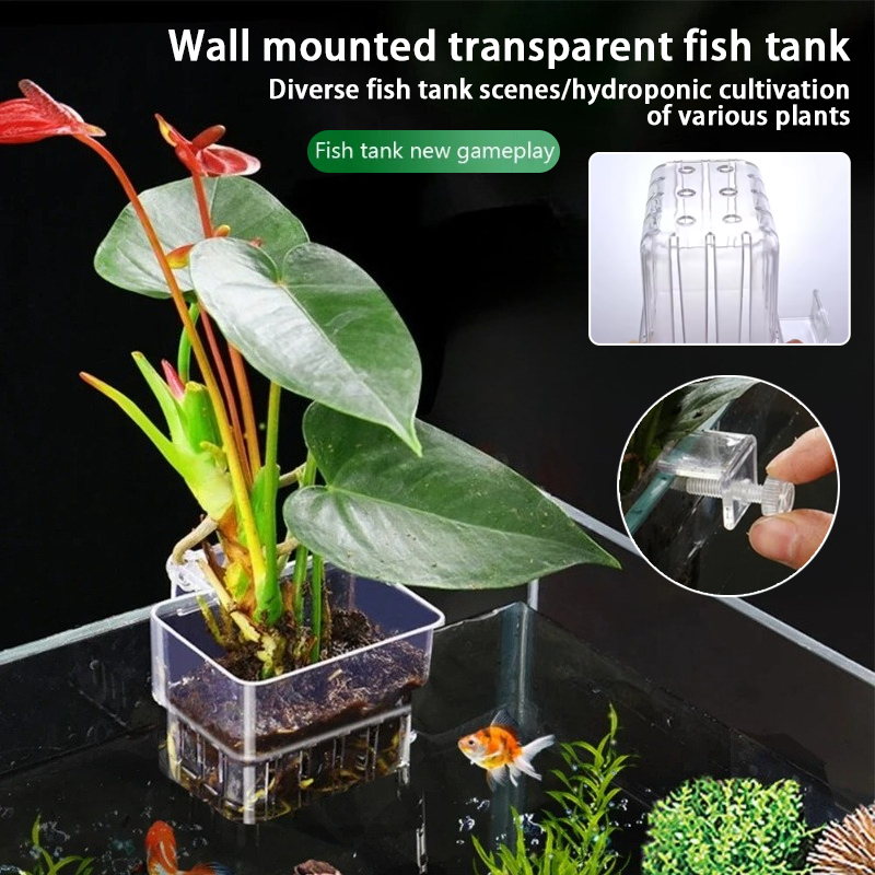 Aquarium Plant Rings - Aquarium Hanging Planter Cups Wall Mounted
