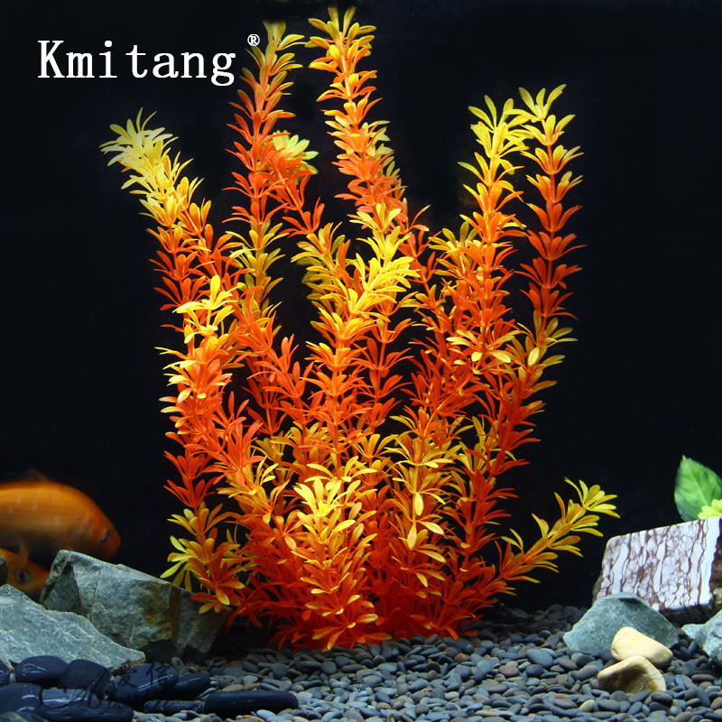 Aquarium Planted Fish - 100Cm Thực Vật Nhiệt Đới Lớn