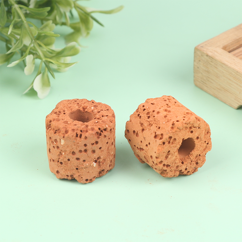 Aquarium Plant Rings - New 10Pcs Plant Ring Aquarium Fixed