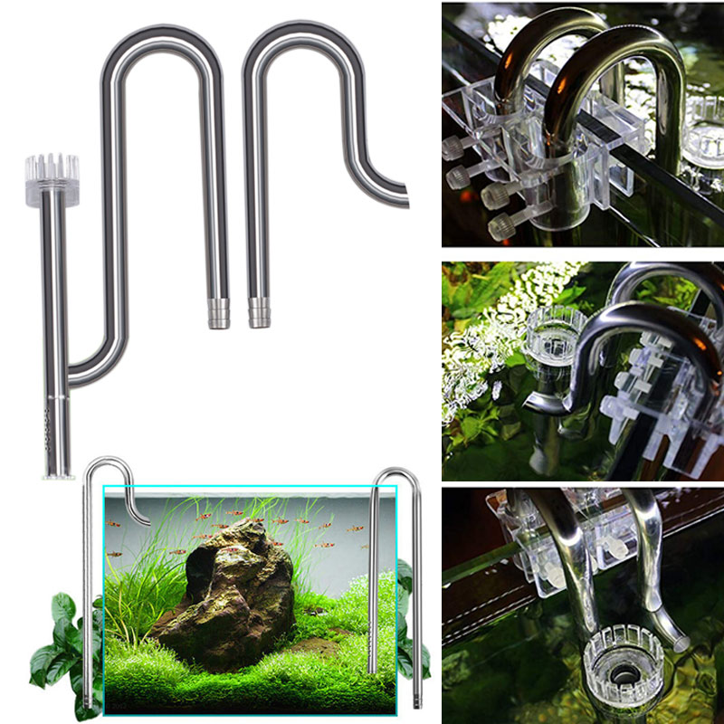 Planted Aquarium Price - Mới Cá Lily Ống Thép Không