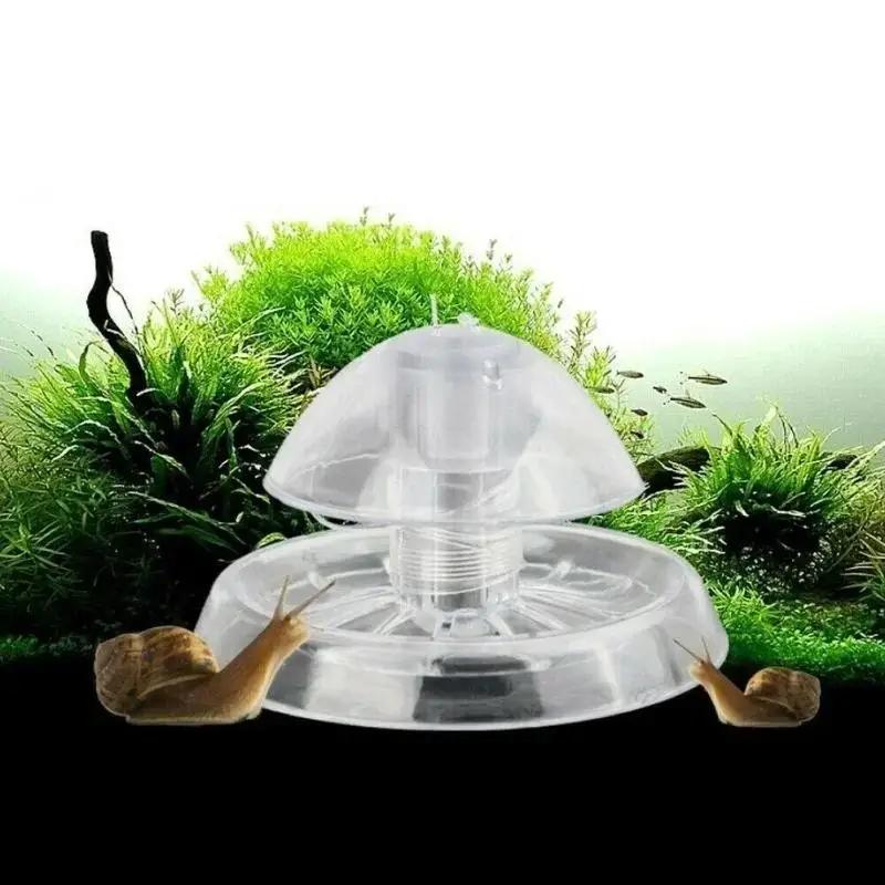 2026 New 6/8CM Clear Plastic S - đánh giá và giá Aquarium Planted Fish
