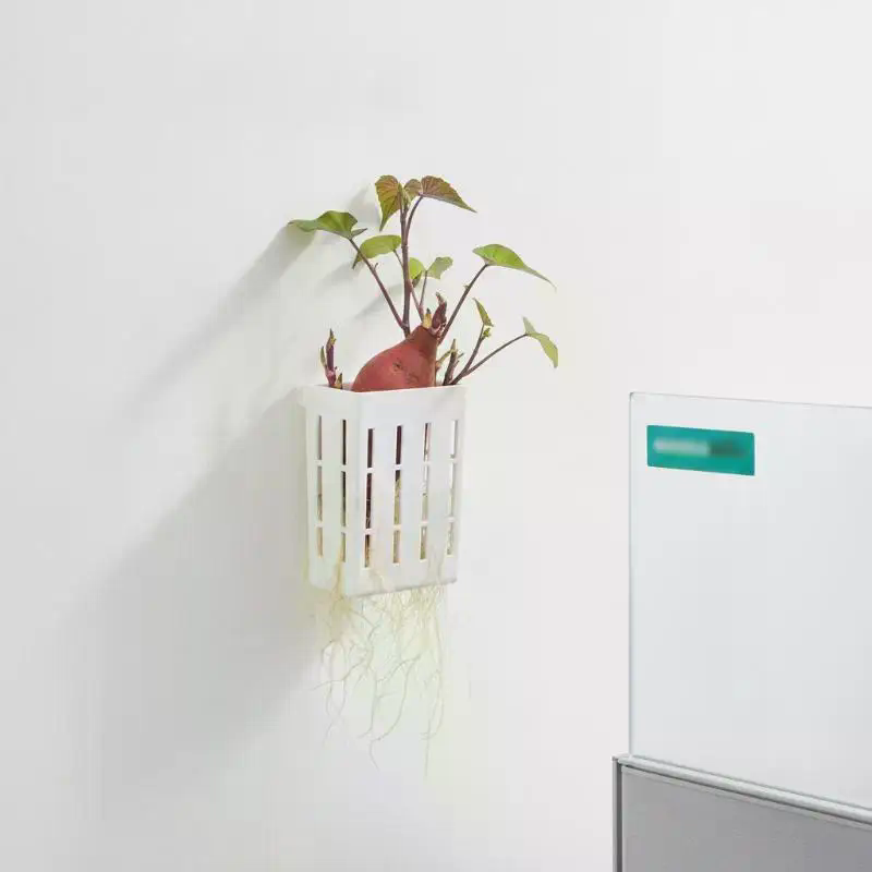 1Pcs Hydroponic Support Basket - đánh giá và giá Aquarium Planted Fish