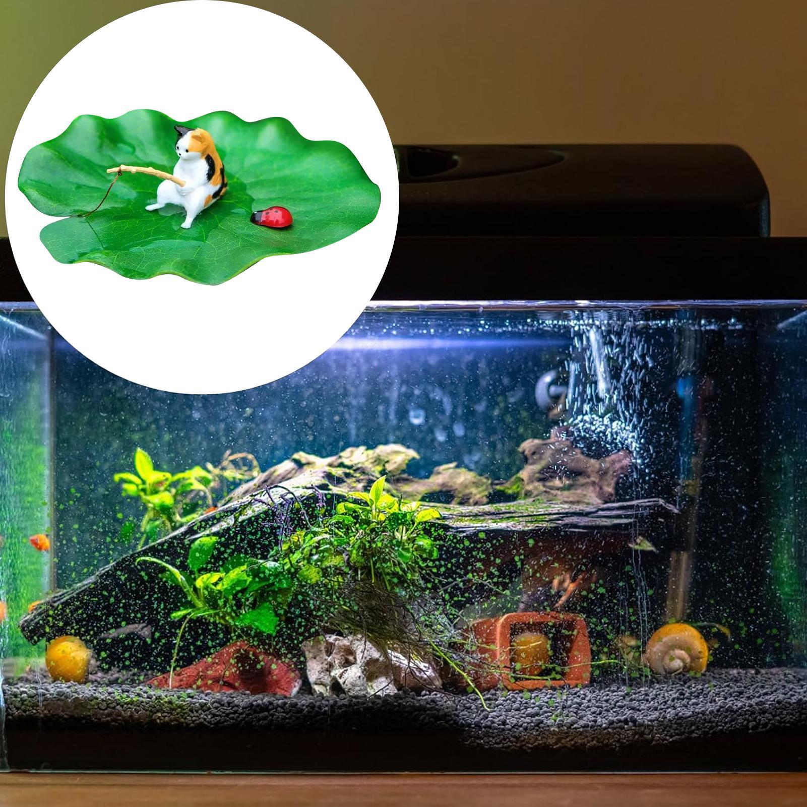 Cat Fishing on Floating Lily P - đánh giá và giá Aquarium Plant Rings