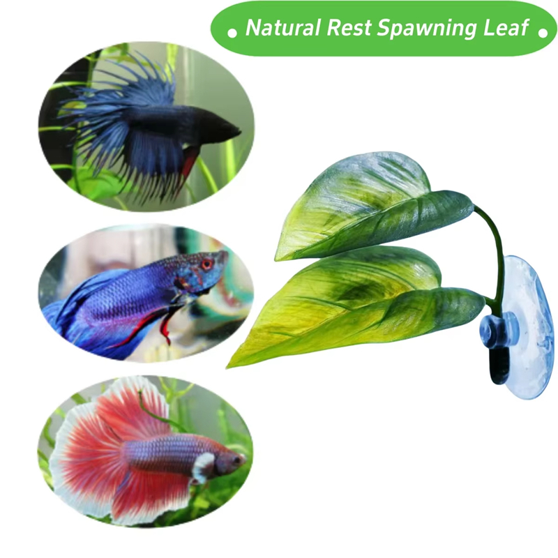 Aquarium Pet Supplies Decorati - đánh giá và giá Aquarium Planted Fish