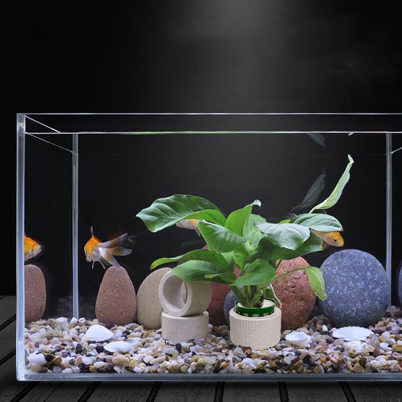 37ME 10 Chiếc Bể Cá Vật Có Cố  - đánh giá và giá Aquarium Plant Rings