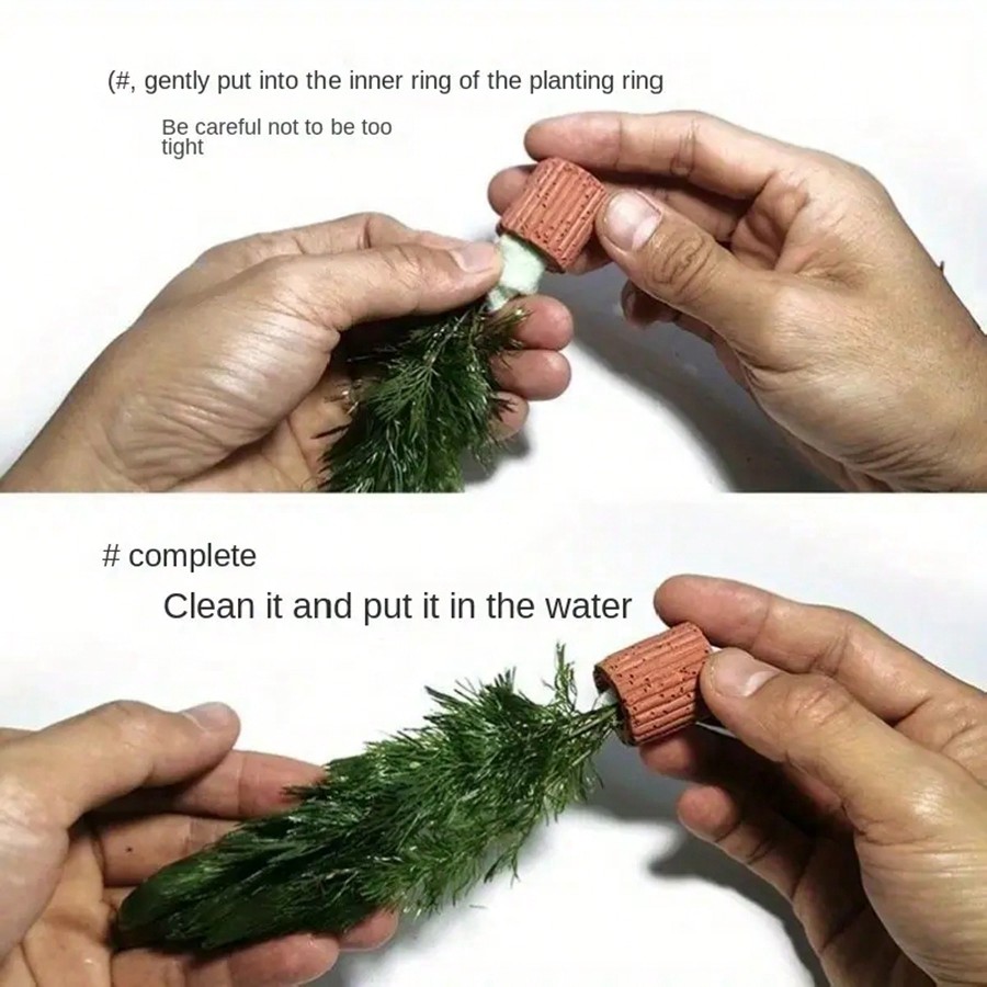 High   Quality Aquarium Plant  - đánh giá và giá Aquarium Plant Rings