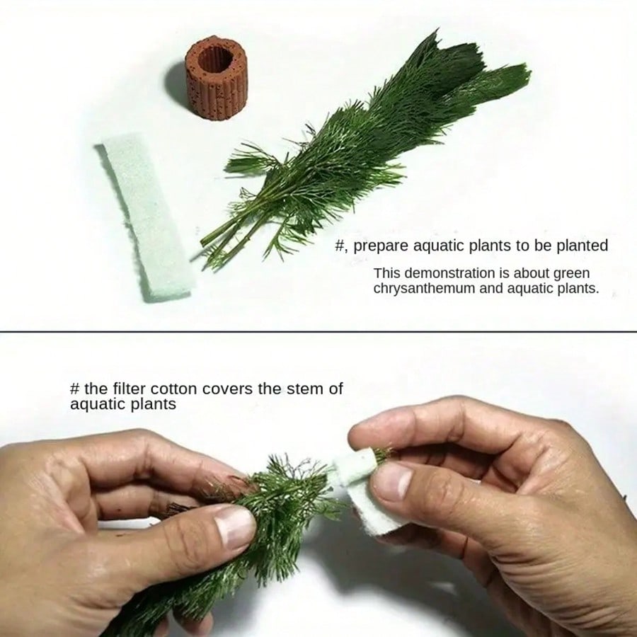 High   Quality Aquarium Plant  - đánh giá và giá Aquarium Plant Rings