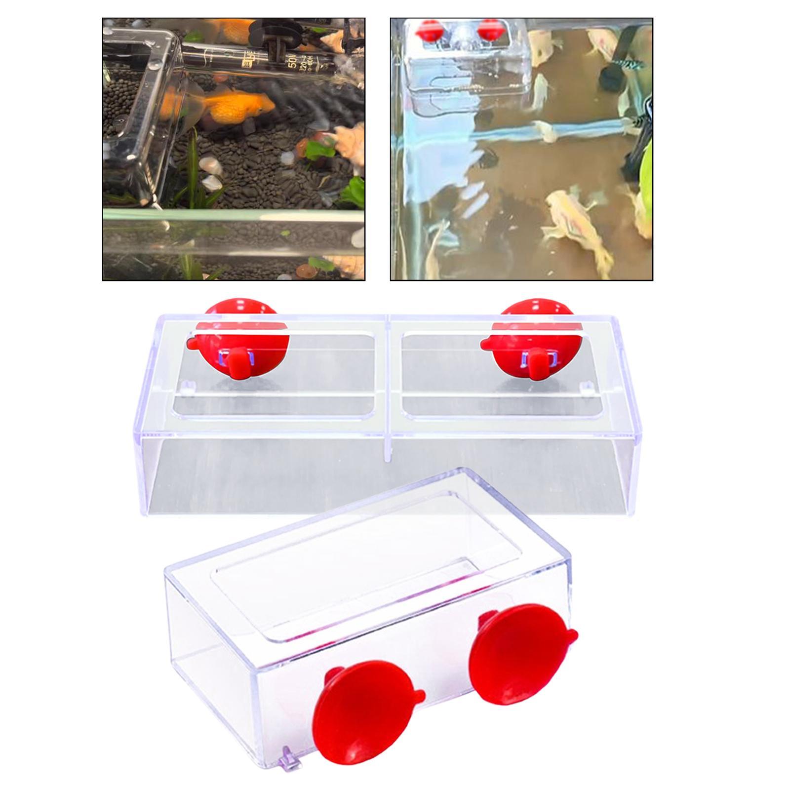 Fish Feeding Ring for Floating - đánh giá và giá Aquarium Plant Rings