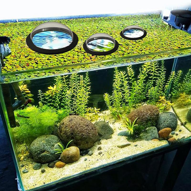 Aquarium Floating Plant Ring D - đánh giá và giá Aquarium Plant Rings