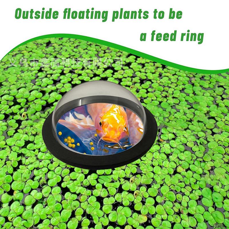 Aquarium Floating Plant Ring D - đánh giá và giá Aquarium Plant Rings