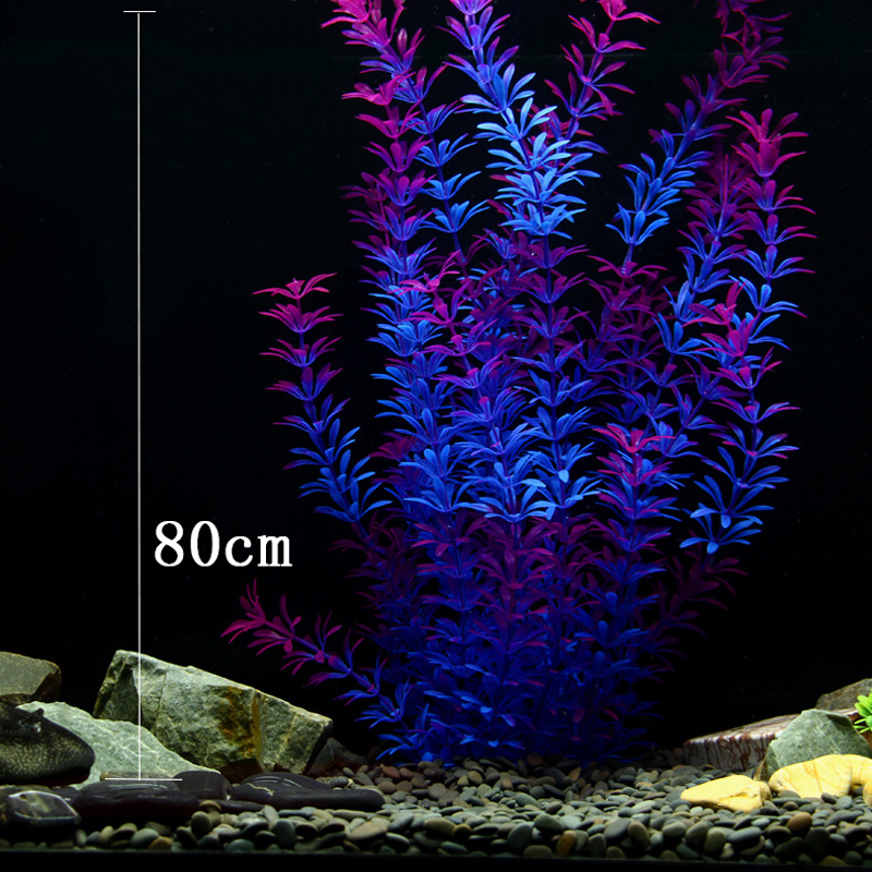 100Cm Thực Vật Nhiệt Đới Lớn N - đánh giá và giá Aquarium Planted Fish