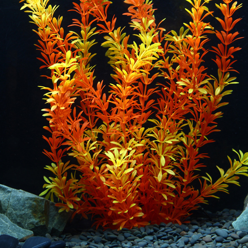 100Cm Thực Vật Nhiệt Đới Lớn N - đánh giá và giá Aquarium Planted Fish