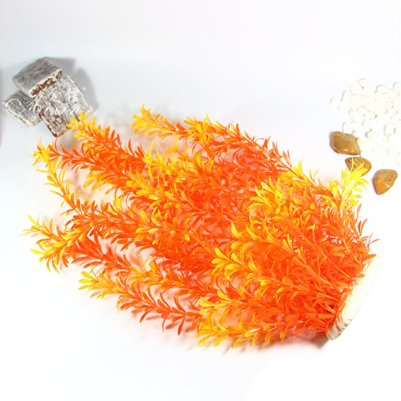 100Cm Thực Vật Nhiệt Đới Lớn N - đánh giá và giá Aquarium Planted Fish