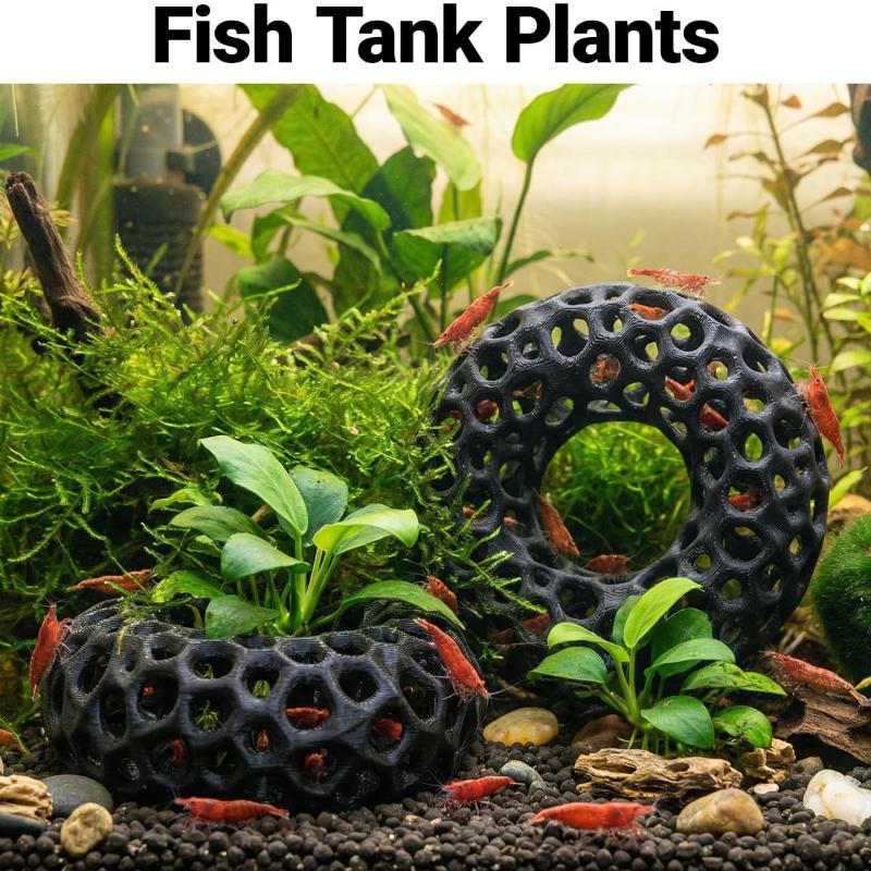 NEW 3D Printed Ring Shaped Aqu - đánh giá và giá Aquarium Plant Rings