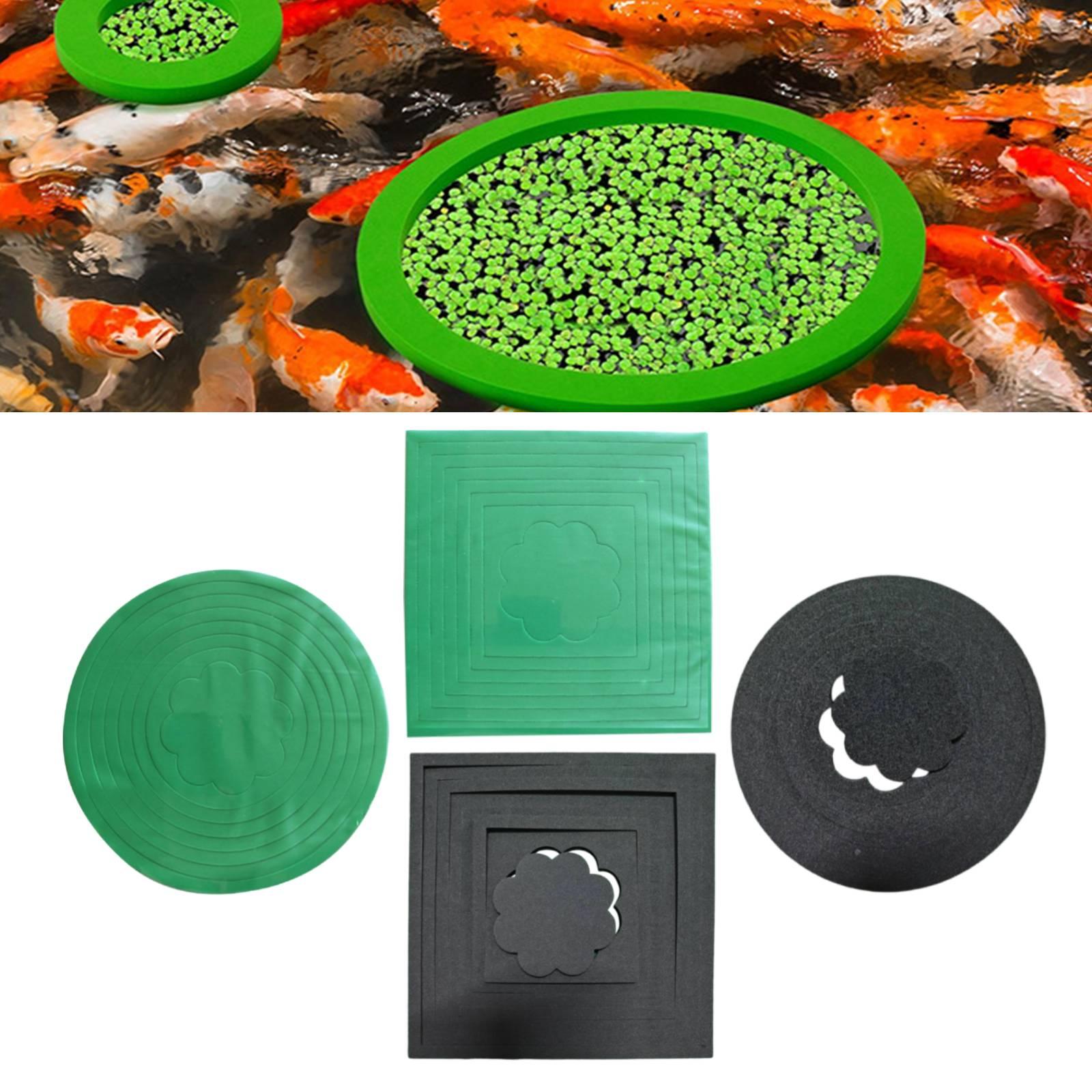 EVA Floating Plant Rings Preve - đánh giá và giá Aquarium Plant Rings