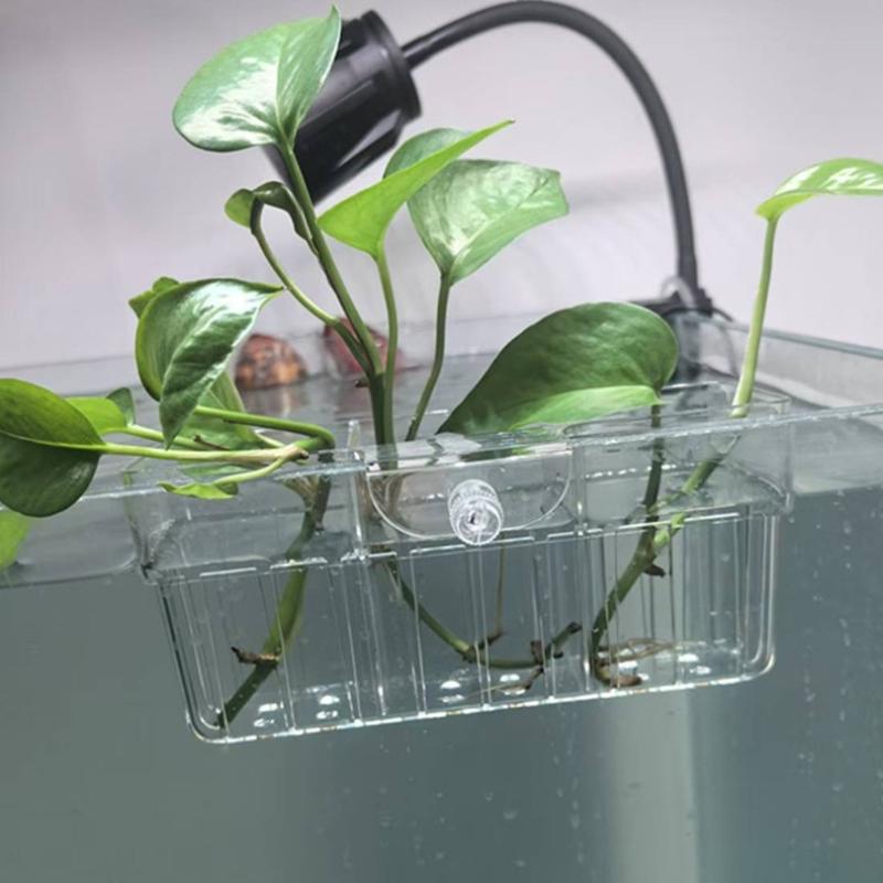 Hydroponic Plant Basket Food G - đánh giá và giá Aquarium Planted Tank
