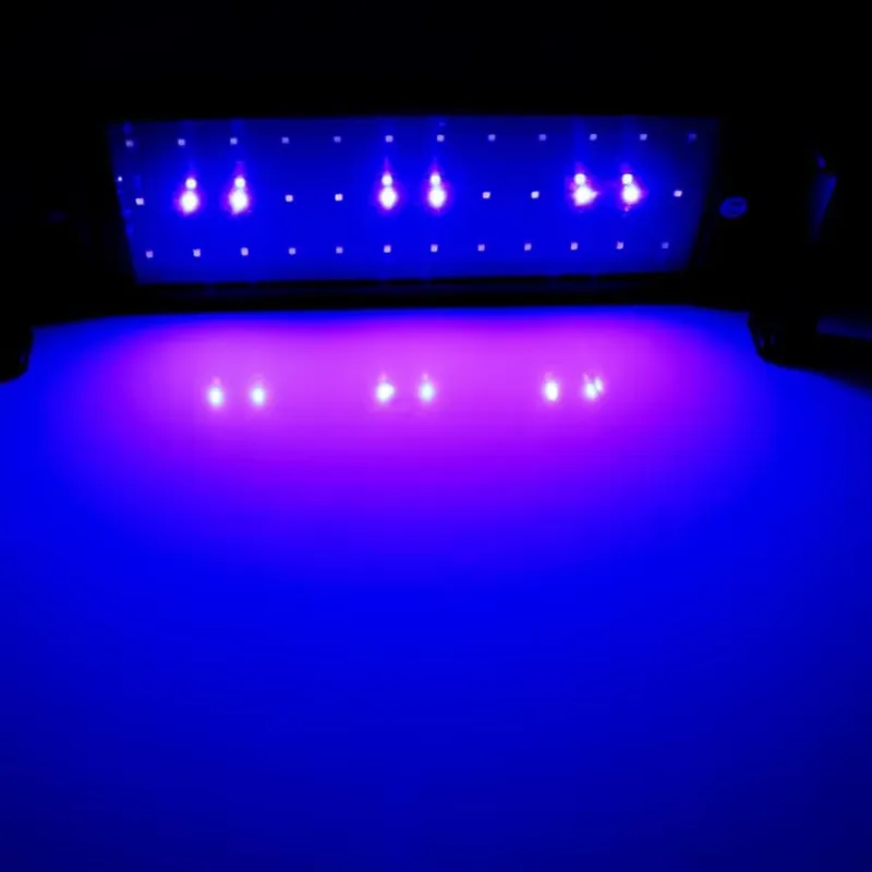 GAKO 11W ZJL-60A Hot Selling C - đánh giá và giá Planted Aquarium Competition