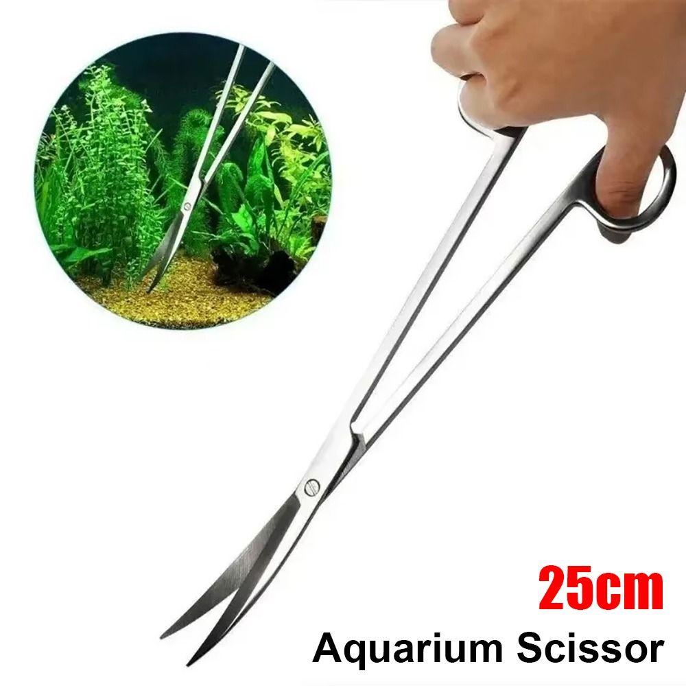 1Pcs Stainless Steel Aquarium  - đánh giá và giá Planted Aquarium Cleaning