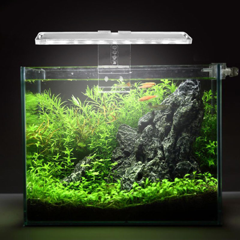 Đèn LED Bể Cá Đèn Vật Có Ánh S - đánh giá và giá Planted Aquarium Price