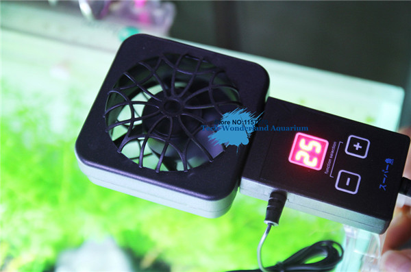 Mini nano clip treo trên quạt  - đánh giá và giá Aquarium Plant Nursery