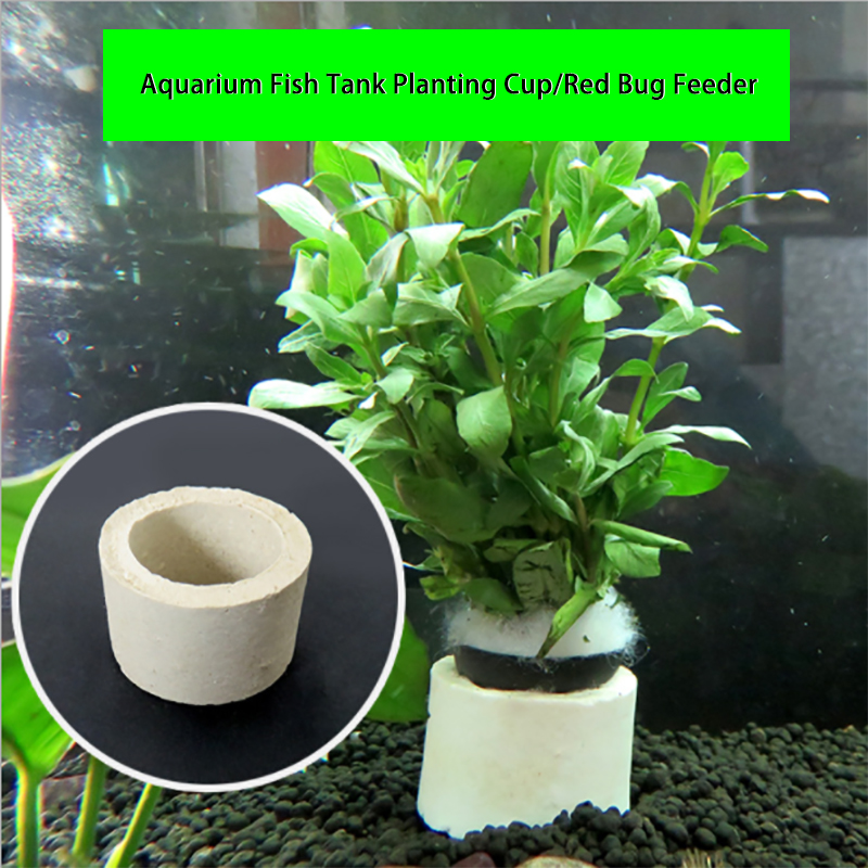 Aquarium Decoration Ceramic Ri - đánh giá và giá Aquarium Plant Rings