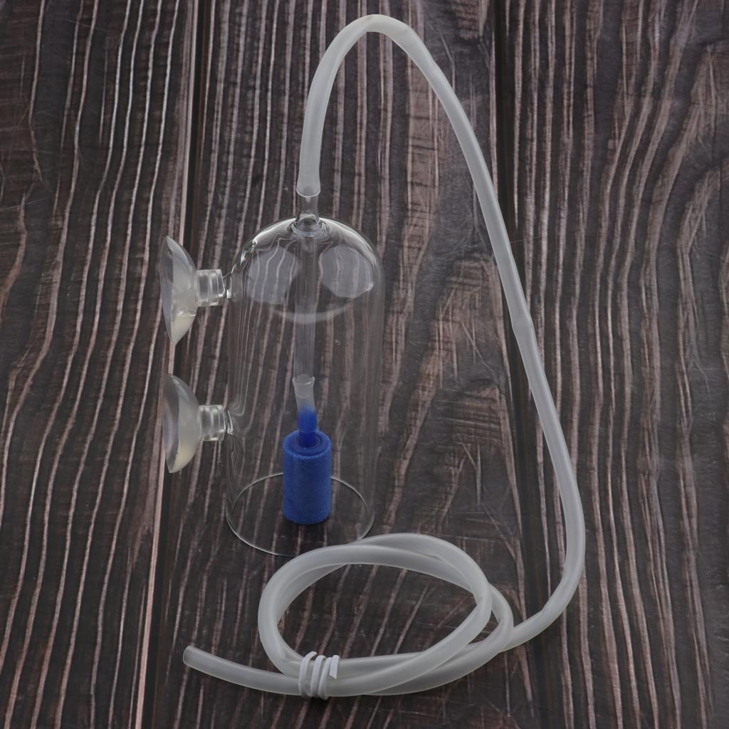 CO2 Diffuser System for Aquari - đánh giá và giá Planted Aquarium Co2 System