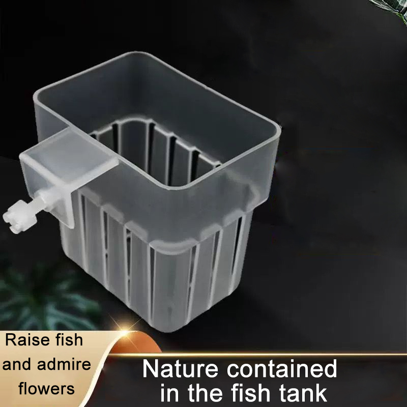 Aquarium Transparent Hydroponi - đánh giá và giá Aquarium Plant Rings