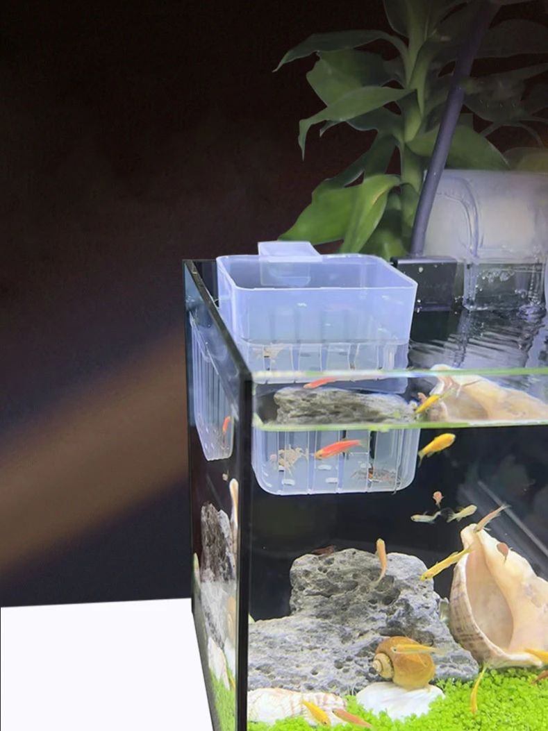 Aquarium Transparent Hydroponi - đánh giá và giá Aquarium Plant Rings