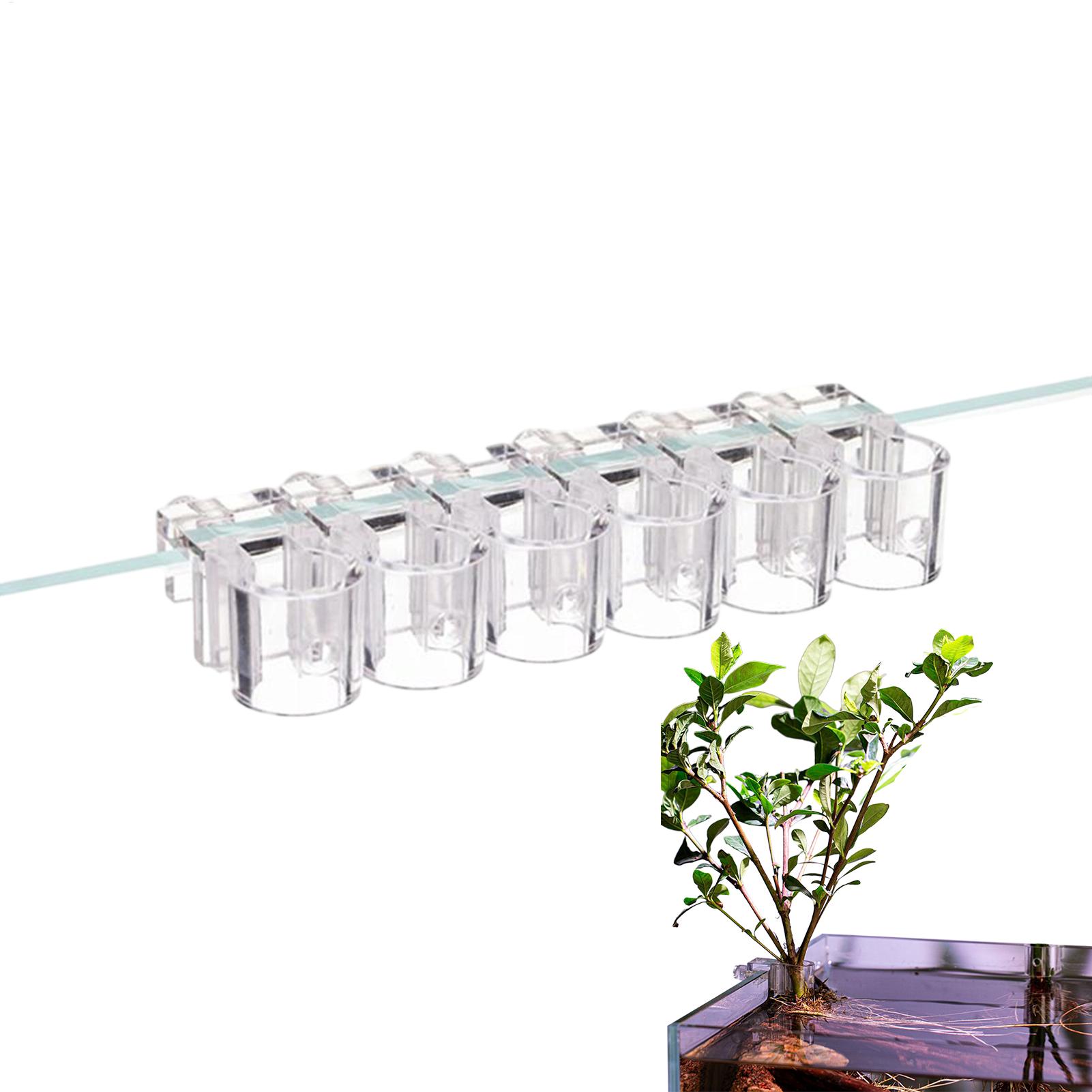 Aquarium Plant Basket Transpar - đánh giá và giá Aquarium Plant Rings