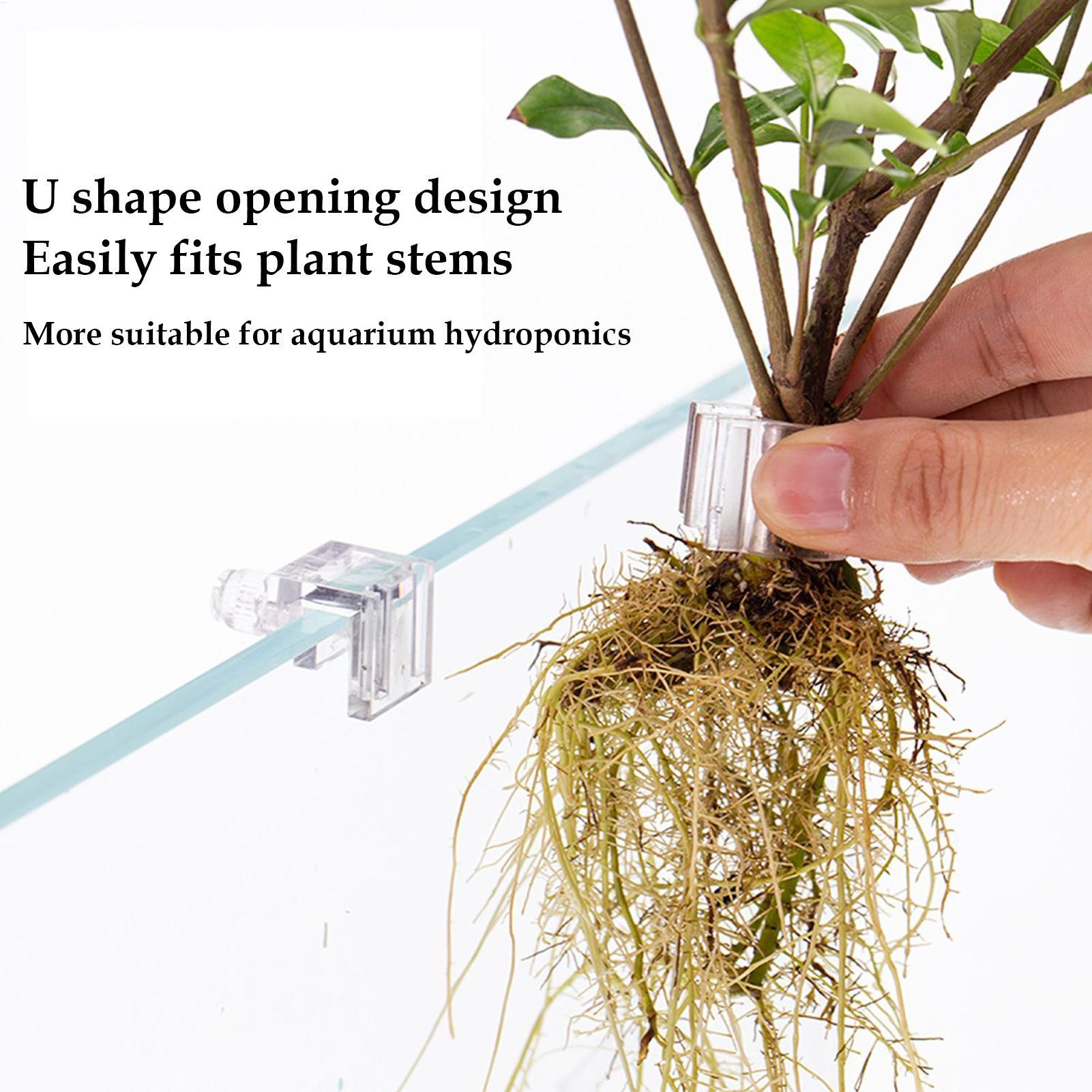 Aquarium Plant Basket Transpar - đánh giá và giá Aquarium Plant Rings