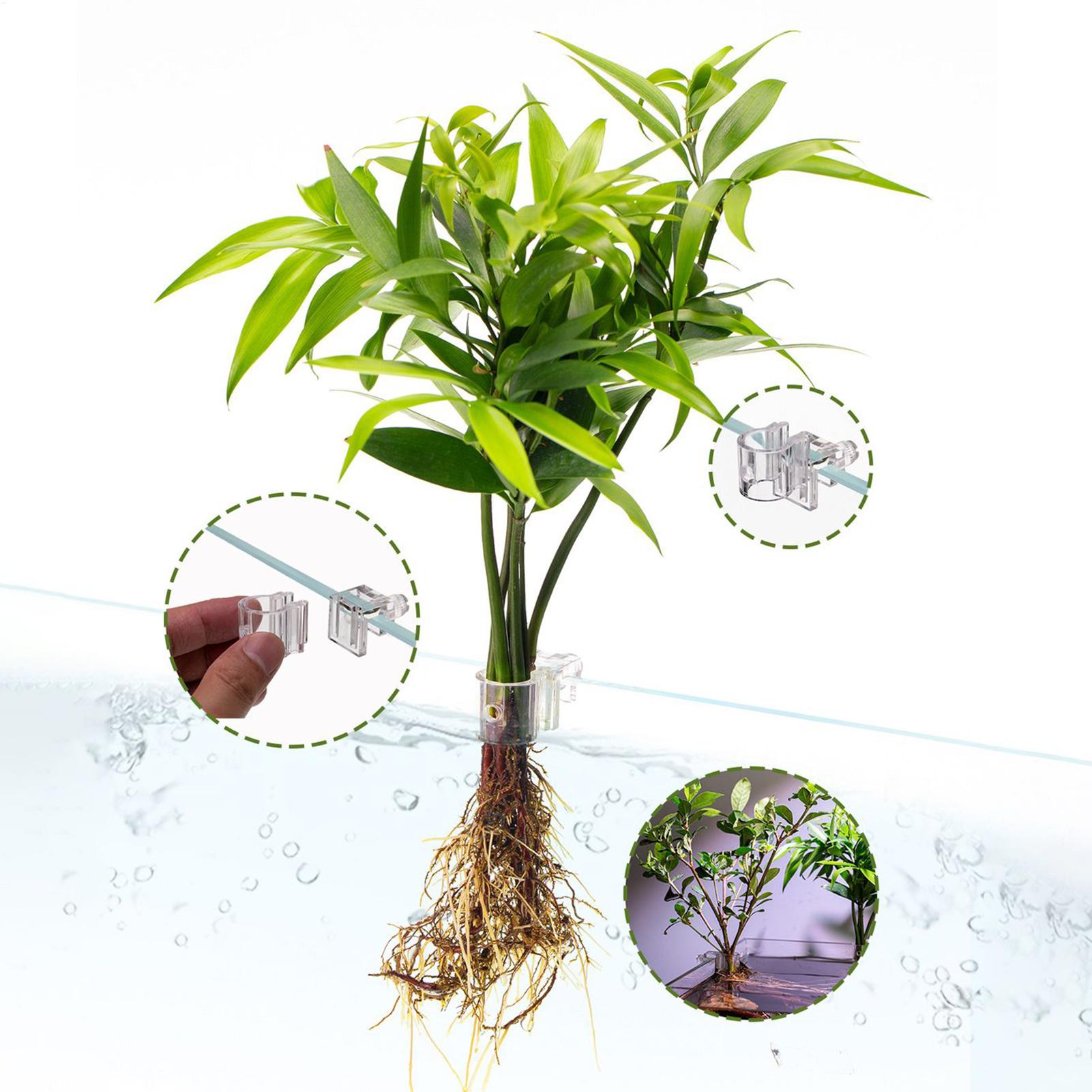 Aquarium Plant Basket Transpar - đánh giá và giá Aquarium Plant Rings
