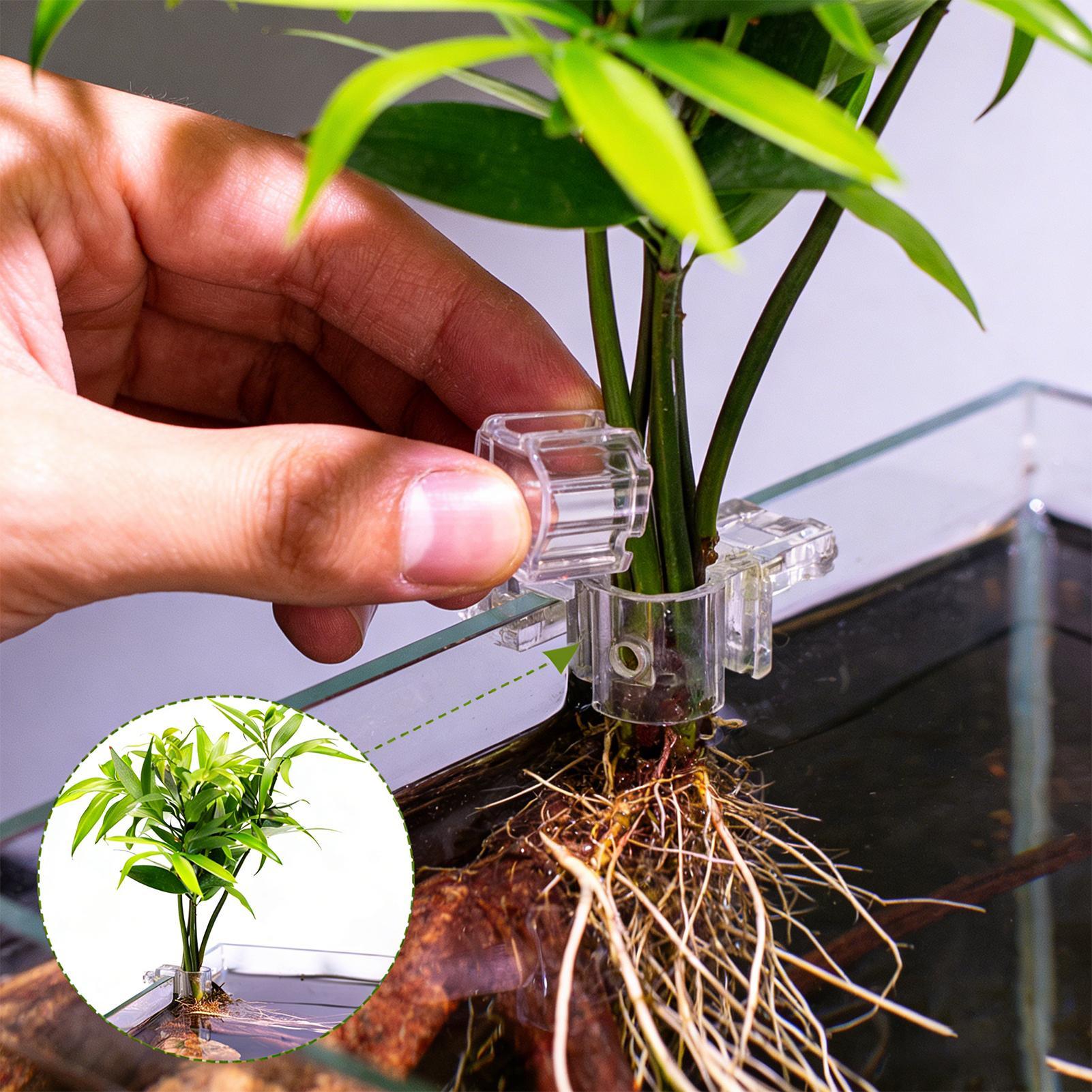 Aquarium Plant Basket Transpar - đánh giá và giá Aquarium Plant Rings