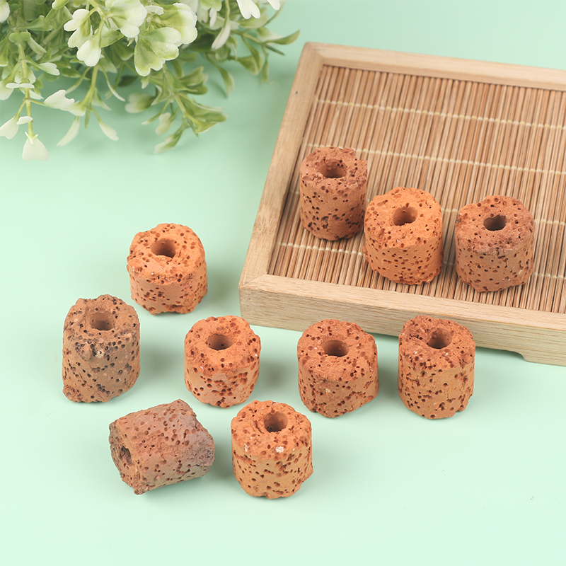 ^10Pcs Plant Ring Aquarium Fix - đánh giá và giá Aquarium Plant Rings
