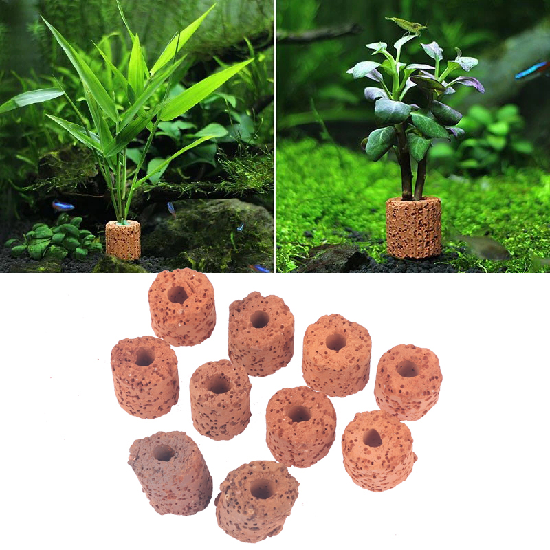 ^10Pcs Plant Ring Aquarium Fix - đánh giá và giá Aquarium Plant Rings