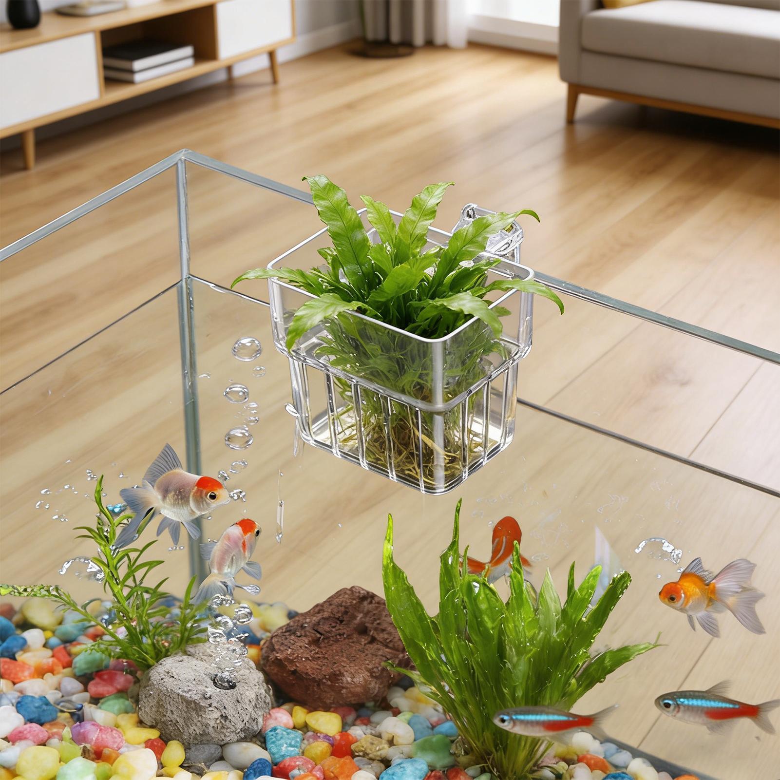 Aquarium Transparent Hanger Po - đánh giá và giá Aquarium Plant Rings