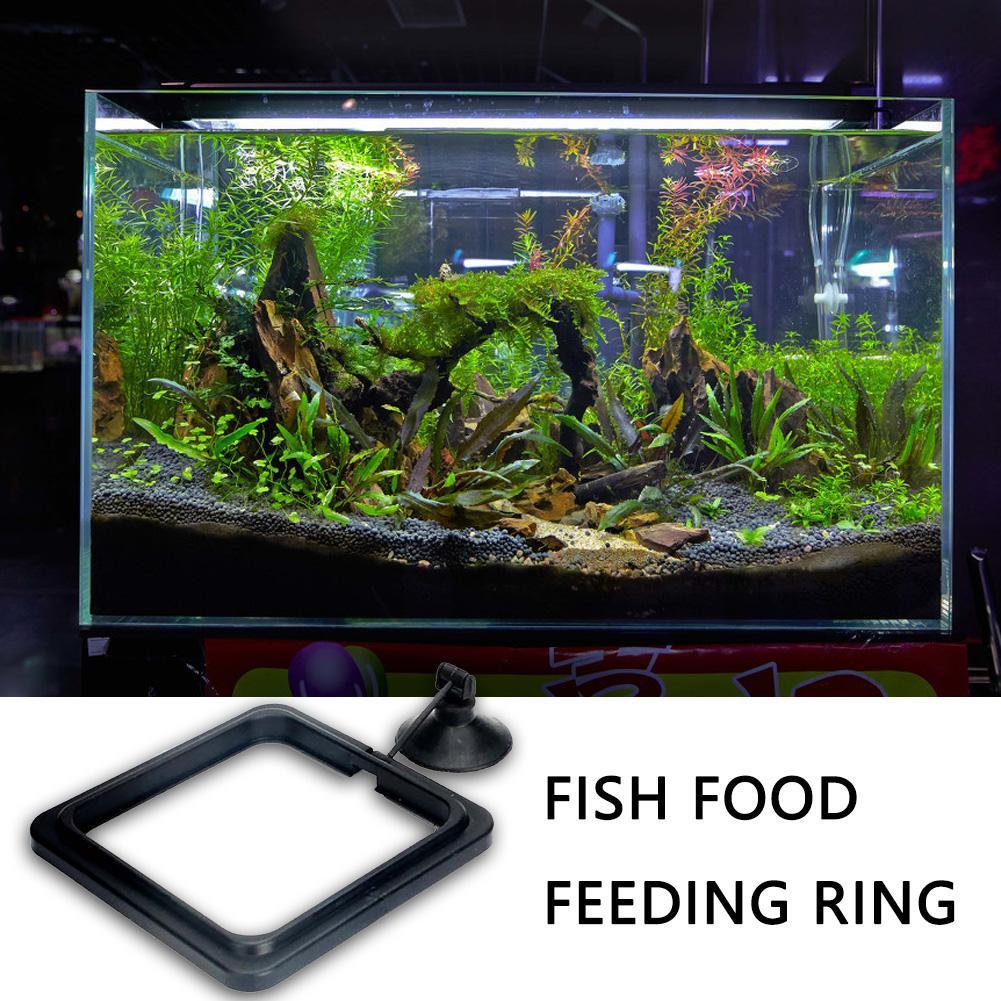 Floating Food Water Plant Buoy - đánh giá và giá Aquarium Plant Rings