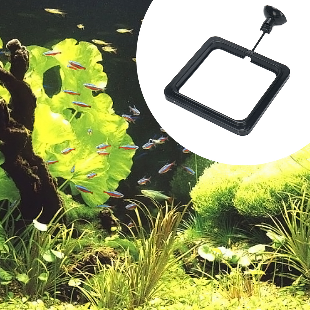 Floating Food Water Plant Buoy - đánh giá và giá Aquarium Plant Rings