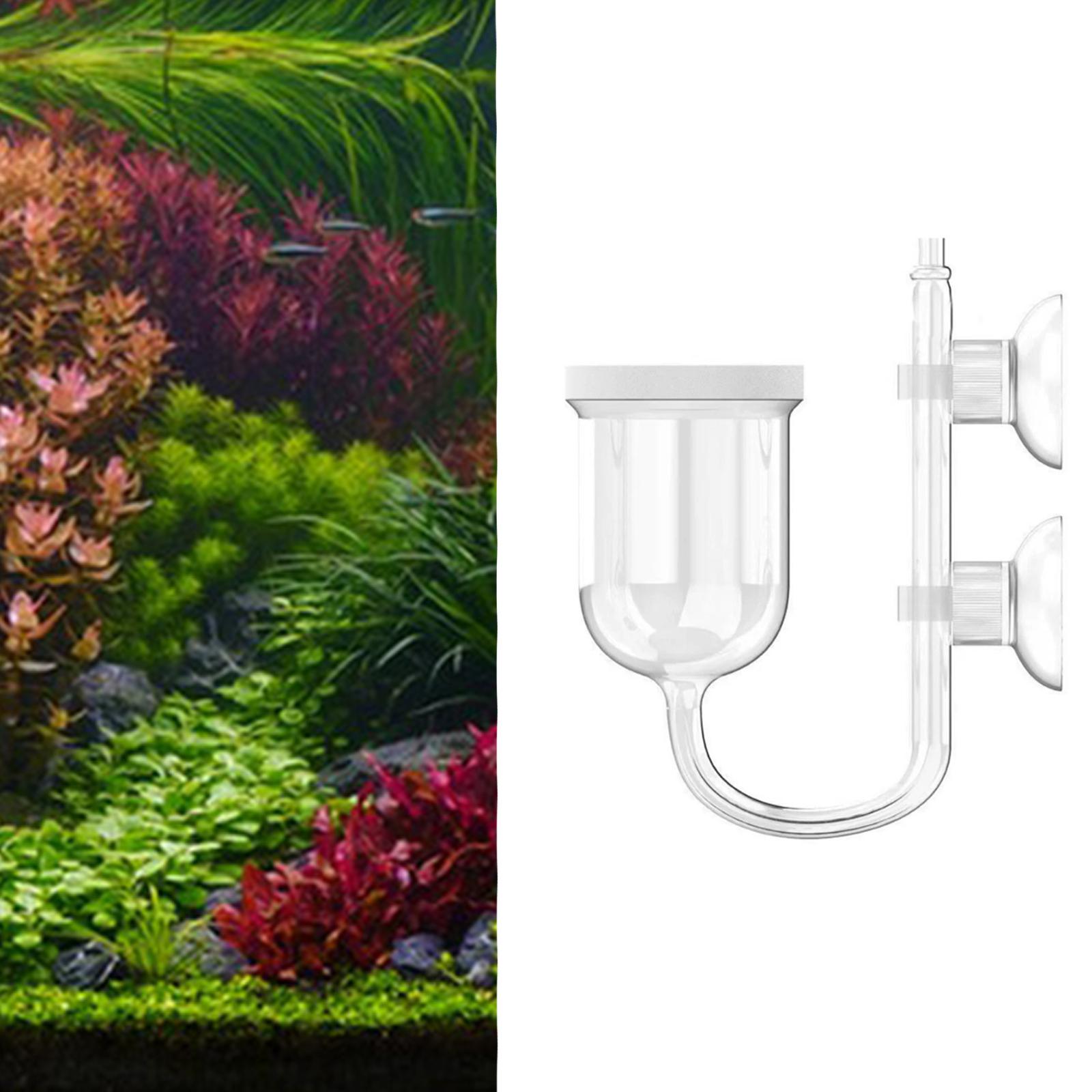 Glass CO2 Diffuser Clear with  - đánh giá và giá Planted Aquarium Accessories
