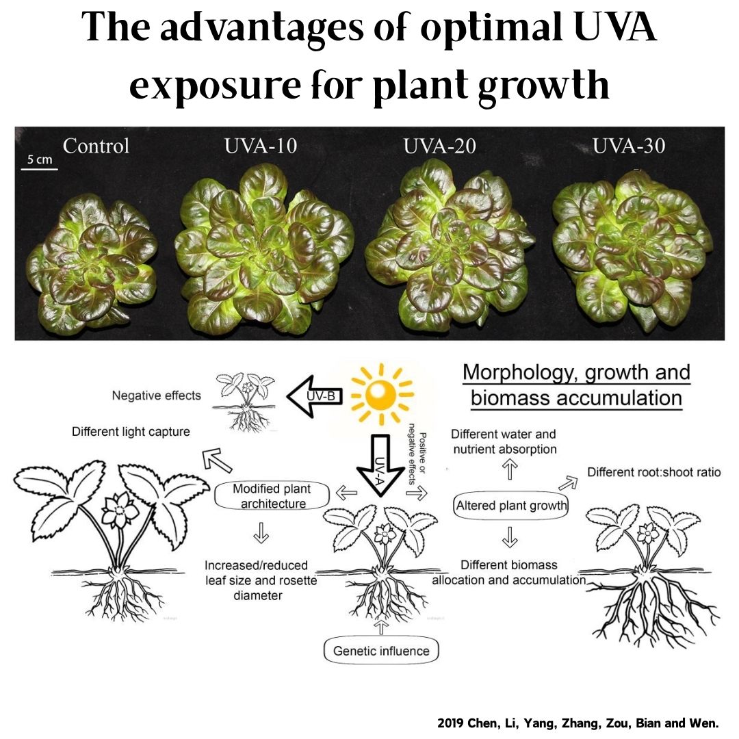 Week Aqua M Series RGB+UV Wate - đánh giá và giá Aquarium Plant Growth Light