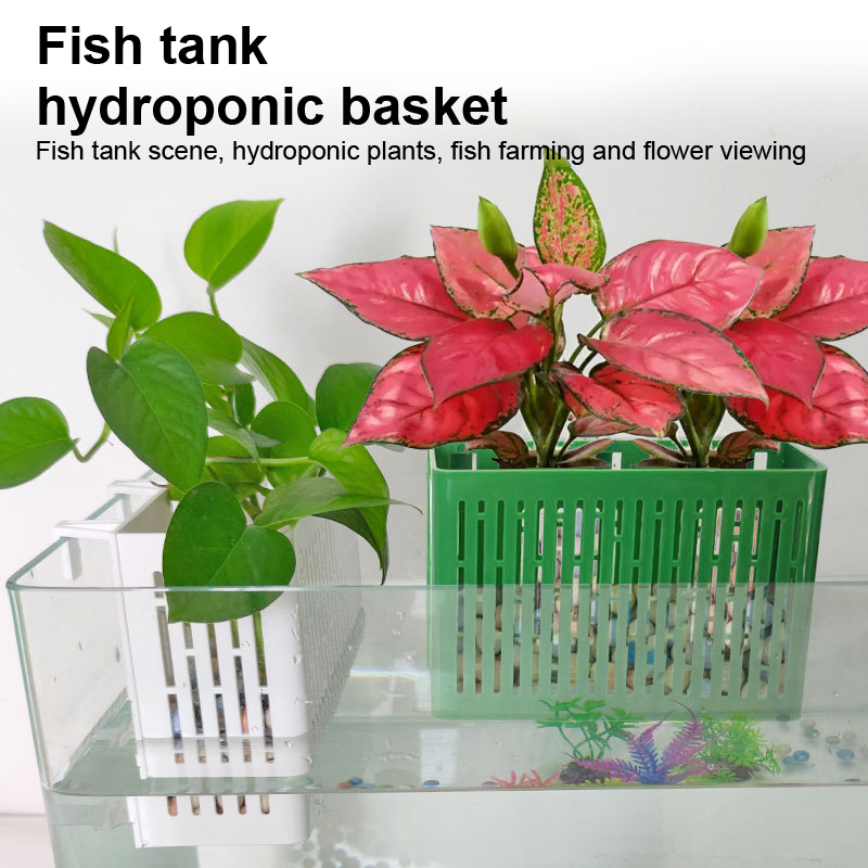 【F】Fish Tank Hanging Planter A - đánh giá và giá Aquarium Planted Fish