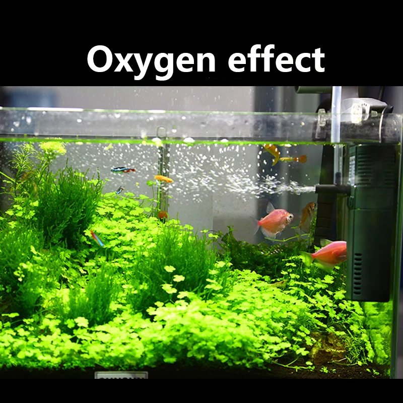 SUNSUN Nano Mini Xây Dựng Nội  - đánh giá và giá Aquarium Plant Nursery